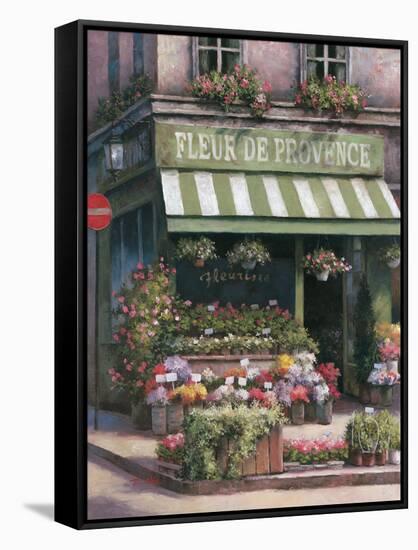 Fleurs de Provence-Unknown Chiu-Framed Stretched Canvas