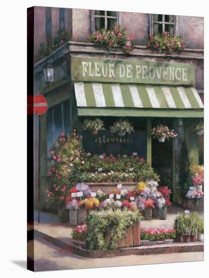 Fleurs de Provence-Unknown Chiu-Stretched Canvas