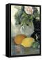 Fleurs et fruits-Paul C?zanne-Framed Stretched Canvas