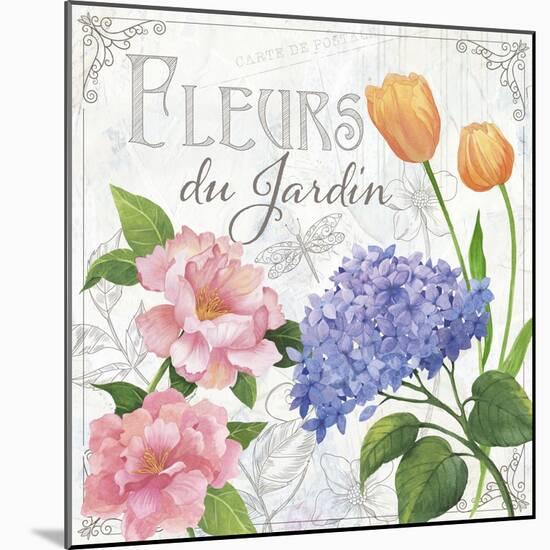 Fleurs I-Fiona Stokes-Gilbert-Mounted Giclee Print