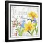 Fleurs II-Fiona Stokes-Gilbert-Framed Giclee Print