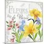 Fleurs II-Fiona Stokes-Gilbert-Mounted Giclee Print