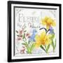 Fleurs II-Fiona Stokes-Gilbert-Framed Giclee Print