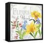 Fleurs II-Fiona Stokes-Gilbert-Framed Stretched Canvas