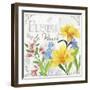 Fleurs II-Fiona Stokes-Gilbert-Framed Giclee Print