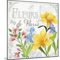 Fleurs II-Fiona Stokes-Gilbert-Mounted Giclee Print