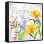 Fleurs II-Fiona Stokes-Gilbert-Framed Stretched Canvas