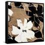 Fleurs II-Sylvie Cailler-Framed Stretched Canvas