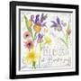 Fleurs III-Fiona Stokes-Gilbert-Framed Giclee Print