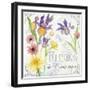 Fleurs III-Fiona Stokes-Gilbert-Framed Giclee Print