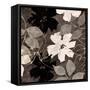Fleurs III-Sylvie Cailler-Framed Stretched Canvas