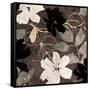 Fleurs IV-Sylvie Cailler-Framed Stretched Canvas