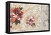 Fleurs Neoclassique II-Hélene Simon-Framed Stretched Canvas