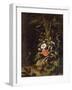 Fleurs, oiseaux, insectes et reptiles-Abraham Mignon-Framed Giclee Print