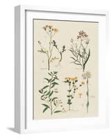 Fleurs Sauvages I-Maria Mendez-Framed Art Print