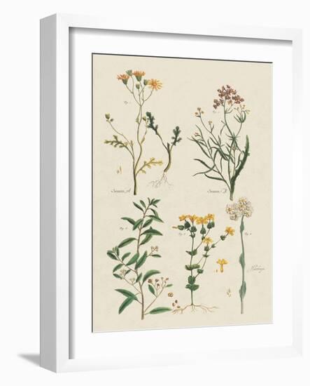 Fleurs Sauvages I-Maria Mendez-Framed Art Print