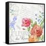 Fleurs V-Fiona Stokes-Gilbert-Framed Stretched Canvas