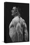 Flexing Triceps, Deltoids, and Trapezius-null-Framed Stretched Canvas