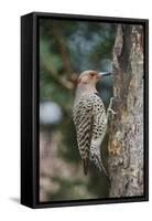 Flicker-Gary Carter-Framed Stretched Canvas