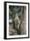 Flicker-Gary Carter-Framed Premium Photographic Print