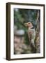 Flicker-Gary Carter-Framed Photographic Print