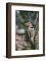 Flicker-Gary Carter-Framed Photographic Print