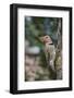 Flicker-Gary Carter-Framed Photographic Print