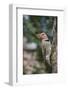 Flicker-Gary Carter-Framed Photographic Print