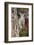 Flicker-Gary Carter-Framed Photographic Print