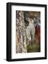 Flicker-Gary Carter-Framed Photographic Print