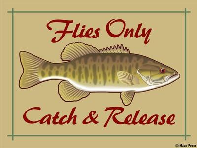 https://imgc.allpostersimages.com/img/posters/flies-only-catch-and-release_u-L-PYMQ1P0.jpg?artPerspective=n