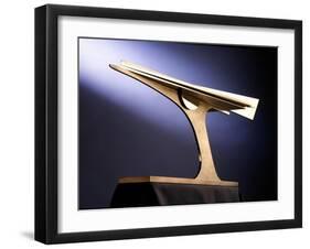 Flight 2, 2004-Peter Thursby-Framed Giclee Print