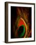 Flight Abstraction-Clive Nolan-Framed Photographic Print