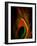 Flight Abstraction-Clive Nolan-Framed Photographic Print