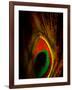 Flight Abstraction-Clive Nolan-Framed Photographic Print