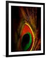 Flight Abstraction-Clive Nolan-Framed Photographic Print