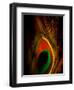 Flight Abstraction-Clive Nolan-Framed Photographic Print