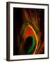 Flight Abstraction-Clive Nolan-Framed Photographic Print