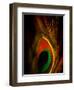 Flight Abstraction-Clive Nolan-Framed Premium Photographic Print