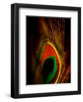 Flight Abstraction-Clive Nolan-Framed Premium Photographic Print