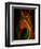 Flight Abstraction-Clive Nolan-Framed Premium Photographic Print