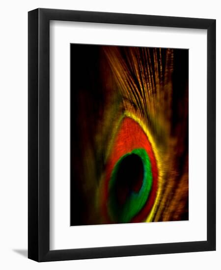 Flight Abstraction-Clive Nolan-Framed Premium Photographic Print