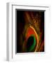 Flight Abstraction-Clive Nolan-Framed Premium Photographic Print