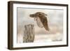 Flight Against the Snowstorm-Osamu Asami-Framed Photographic Print