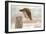 Flight Against the Snowstorm-Osamu Asami-Framed Photographic Print