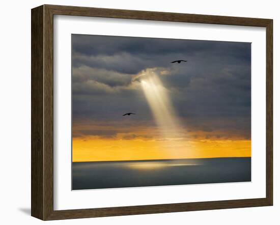 Flight for Freedom-Adrian Campfield-Framed Photographic Print