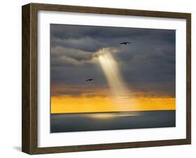 Flight for Freedom-Adrian Campfield-Framed Photographic Print