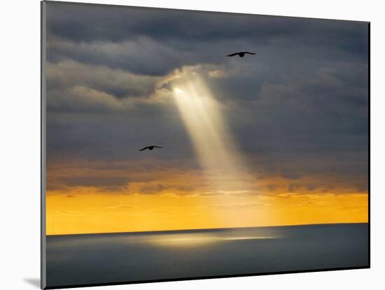 Flight for Freedom-Adrian Campfield-Mounted Photographic Print