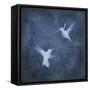 Flight in Blue I-Chris Donovan-Framed Stretched Canvas