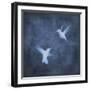 Flight in Blue I-Chris Donovan-Framed Art Print